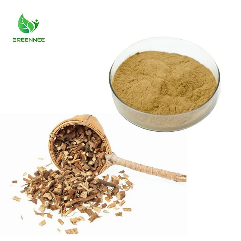 China Medicine Herbal Agastache Extract Agastache Rugosa Extract Powder