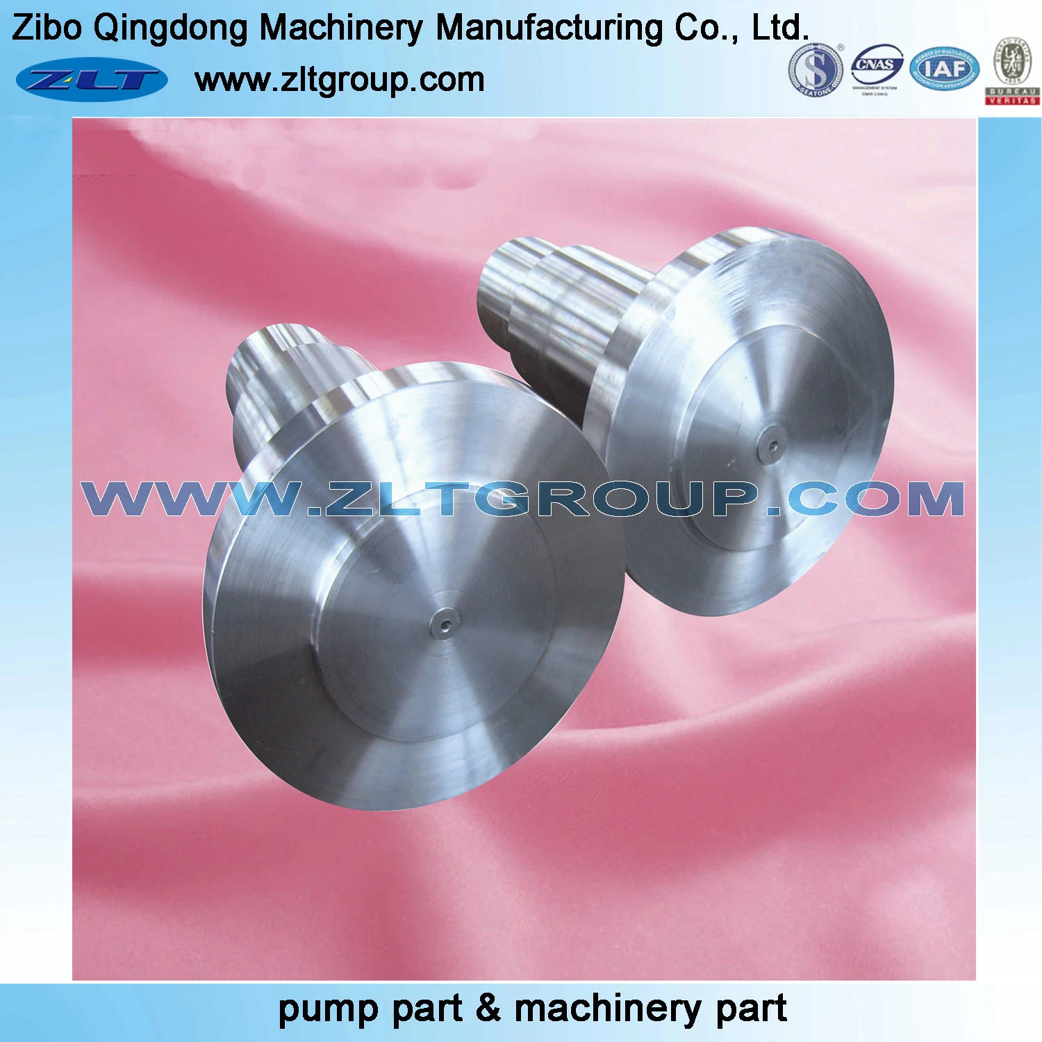 Sand Casting Customized Pump Flange in Stainless Steel /Carbon Steel CD4/316ss