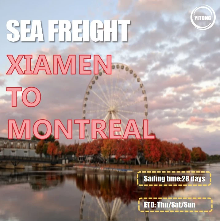 Vente en gros Guangzhou Mer de Chine Agent d'expédition de fret à Montréal Canada