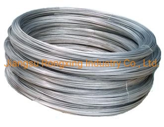 304 0.06mm ISO Certificated Factory Produced Copper Clad Steel Wire /CCS Wire Used for Braided Shield Cables