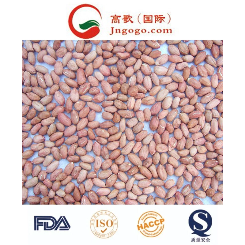 High quality/High cost performance  Red Skin Peanut Kernel