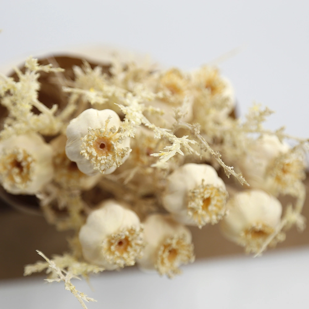 Blanco Faux Dried Poppy Heads Flores secas planas con Kraft Flores silvestres artificiales envueltas en papel
