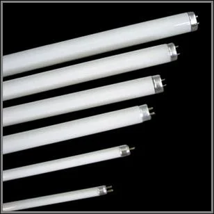 21W T5 Type Fluorescent Light