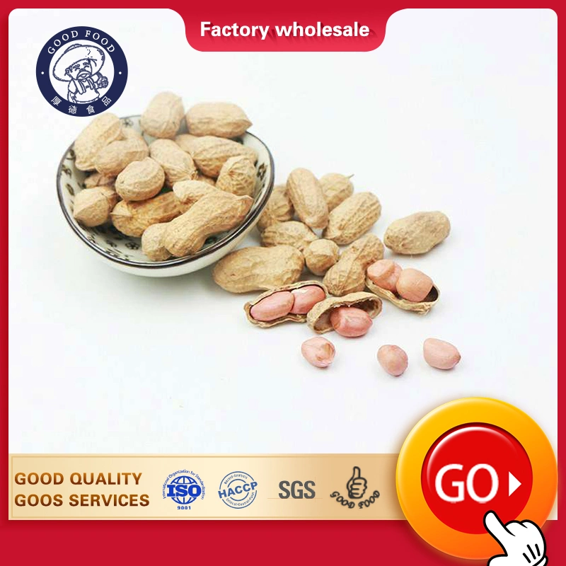 Ex-Factory Price Best Quality Garlic Taste Roasted Peanut New Product Launch