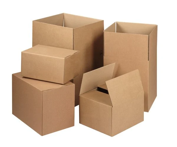 S'épanouir d'échantillons gratuits de cartons d'emballage en carton ondulé boîtes d'expédition personnalisés pour l'électronique/Food/foyer/cosmétiques/Apprel