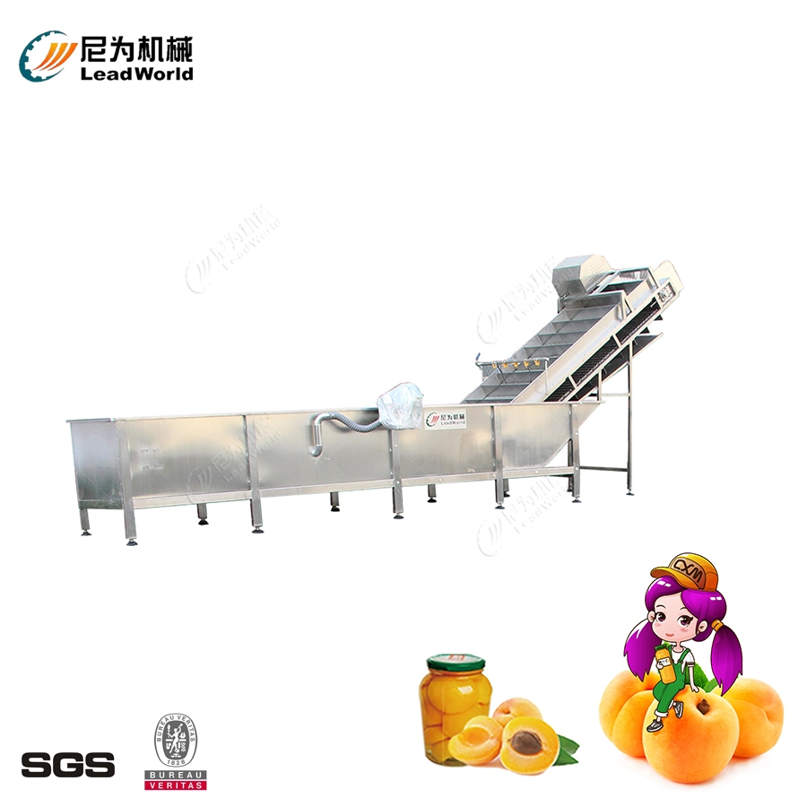 High Accuracy Automatic Fruit and Vegetable, Yellow Peach, Strawberry, Hawthorn, Canned Coconut Fruit Production Line