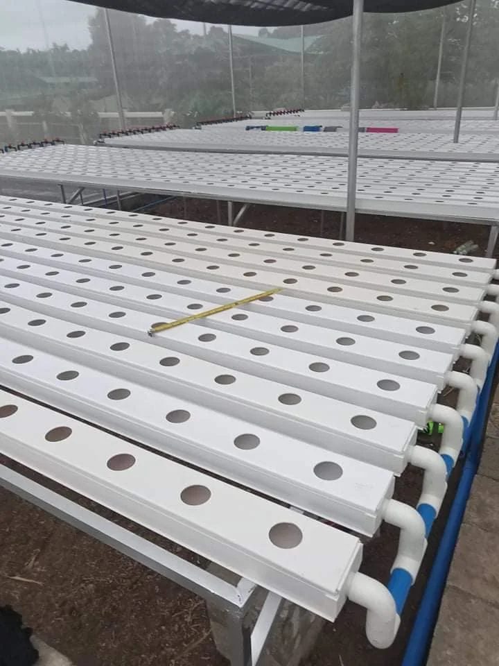 Commercial Growing System Nft Gutter Hydroponic Growing Systems