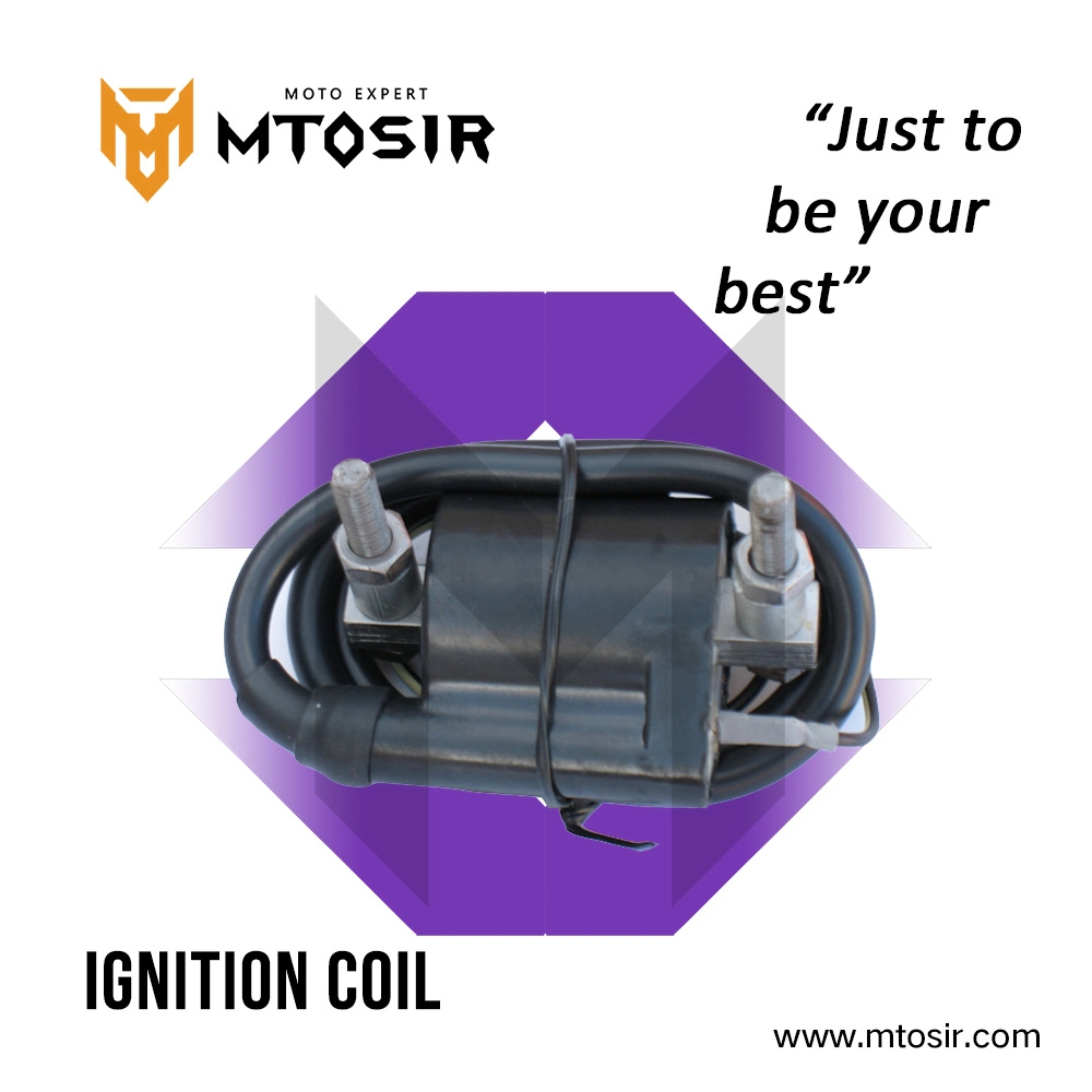 Bajaj Boxer Bm100 Ignition Coil High Class Motorcycle Parts Repuesto PARA Mtosir