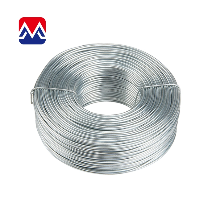 Factory Custom Shape Ss 304 Flat Stainless Steel Wire Shaped Wire for Sale