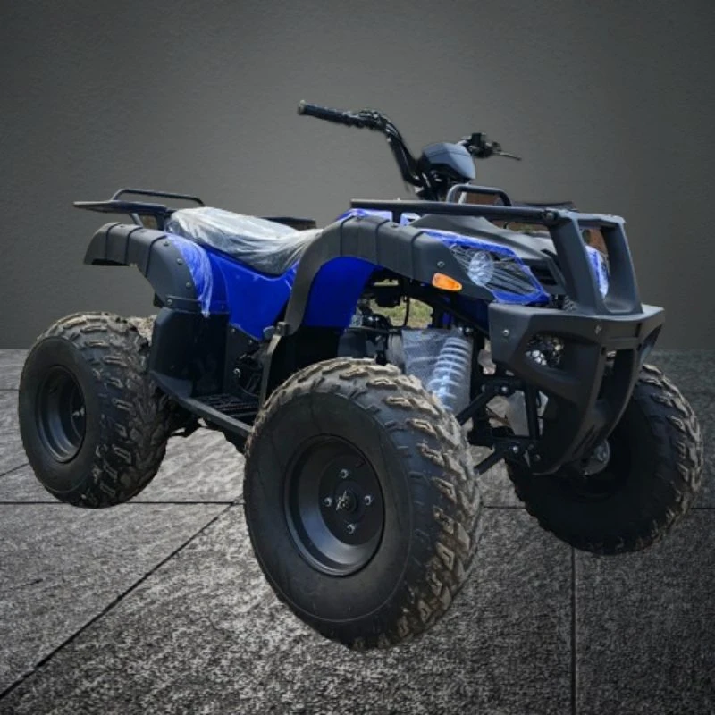 Высокое качество 200cc CE 10дюйма Racing с электроприводом для взрослых 4 Колеса Quad Bike