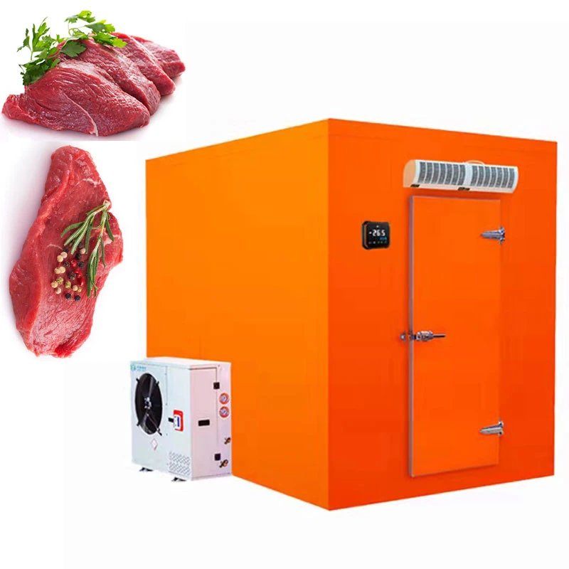 Benfu Industry Cold Storage Room for Meat Fish Vegetables on Sale