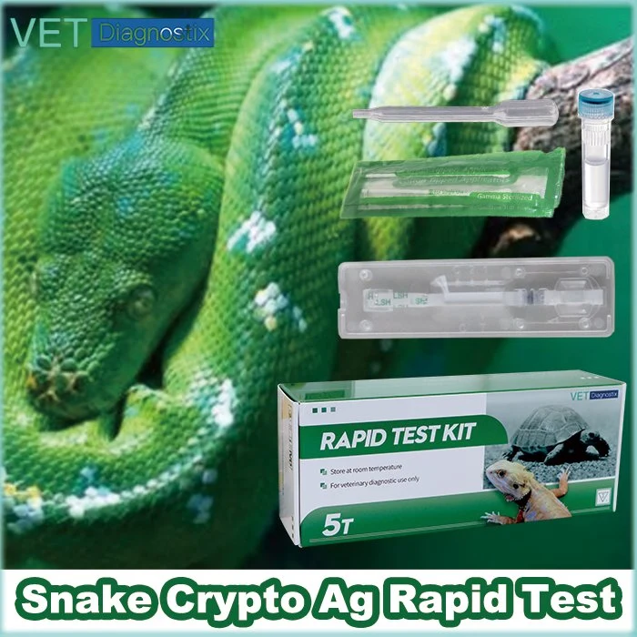 Test Crypto de serpent Cryptosporidium Antigen Test rapide