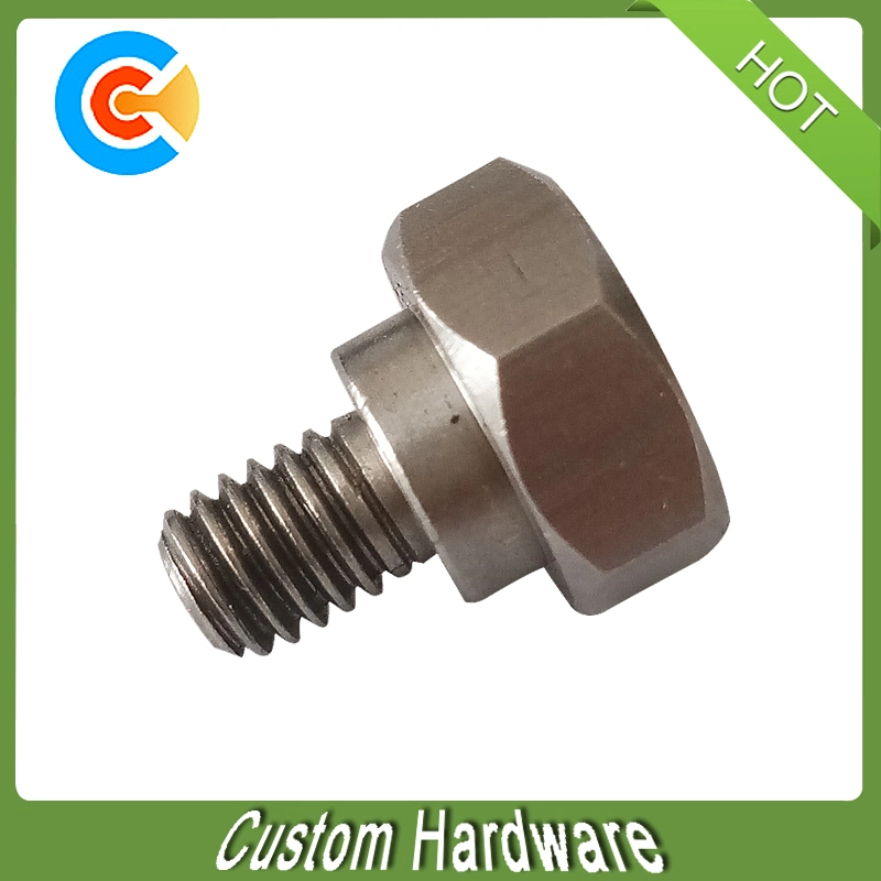 DIN/ANSI/BS/JIS/Customized Stainless Steel Hexagon Socket Head Cap Screw for Faucet/Roofing/Machine