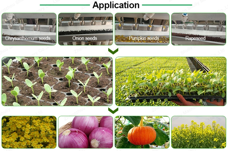 Automatische Zwiebelpflanzenmaschine Gemüsekindergarten Seeding Machine