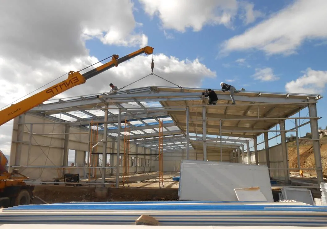 Long Span China Big Space Frame Galvanized Prefabricated Steel Structure Gym Build