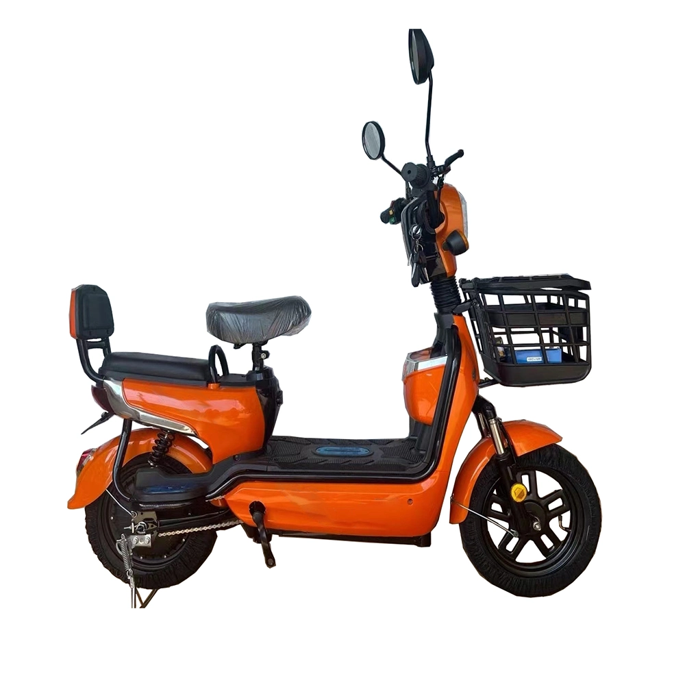 Tjhm-016o Fashion City 2D-Wheed Custom 48V12ah Electric Bicycle Scotter