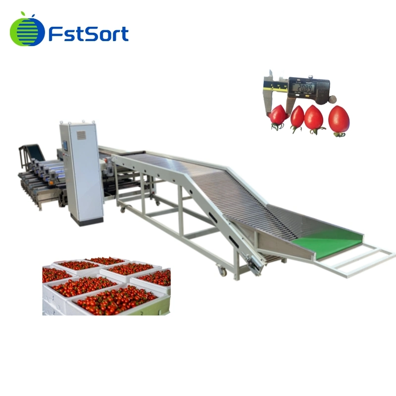 Dates Cherry Tomato Plums Fresh Jujube Apricot Fruit Sorting Grading Machine