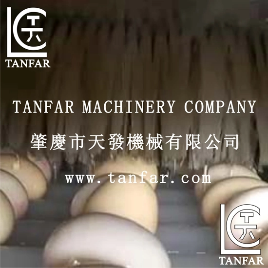 Auto. Egg Washing Cleaning Breaking Machine