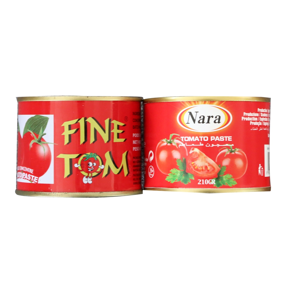 Popular Size 210g Eo Canned Tomato Paste for Africa Market