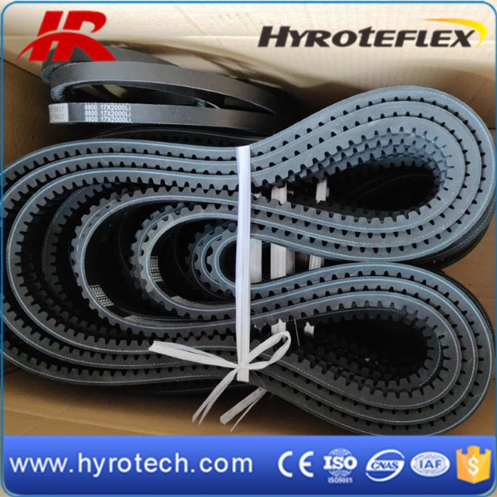 Rubber Belt/Raw Edge V Belt/Zx/Ax/Bx/Cx/Dx