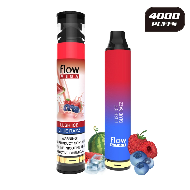 Disposable/Chargeable E Cigarette Vape Mega Duo Flow 4000 Puffs with 15 Flavors