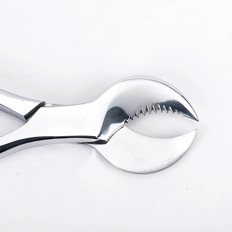 High quality/High cost performance Dental Stainless Steel Gypsum Scissors 16cm/20cm Dental Plaster Nipper