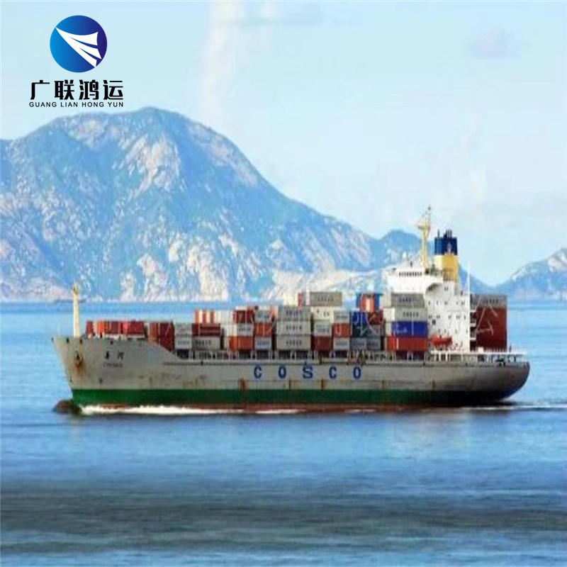 الشحن السريع الدولي لباب DDP الشحن البحري شحن بحمولة البحر الصين إلى دبي الإمارات العربية المتحدة