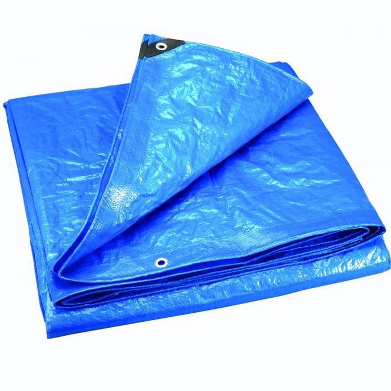 Multi-Purpose Blue Waterproof Heavy Duty Poly Tarp PE Tarpaulin Cover Sheet