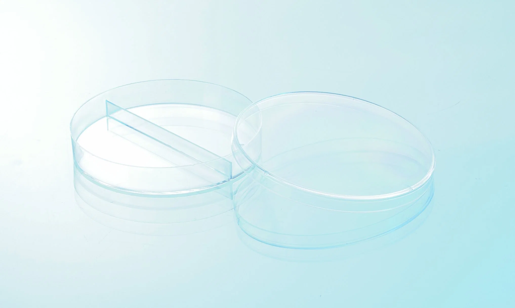 High Quality 90*15mm Two-Compart Petri Dish