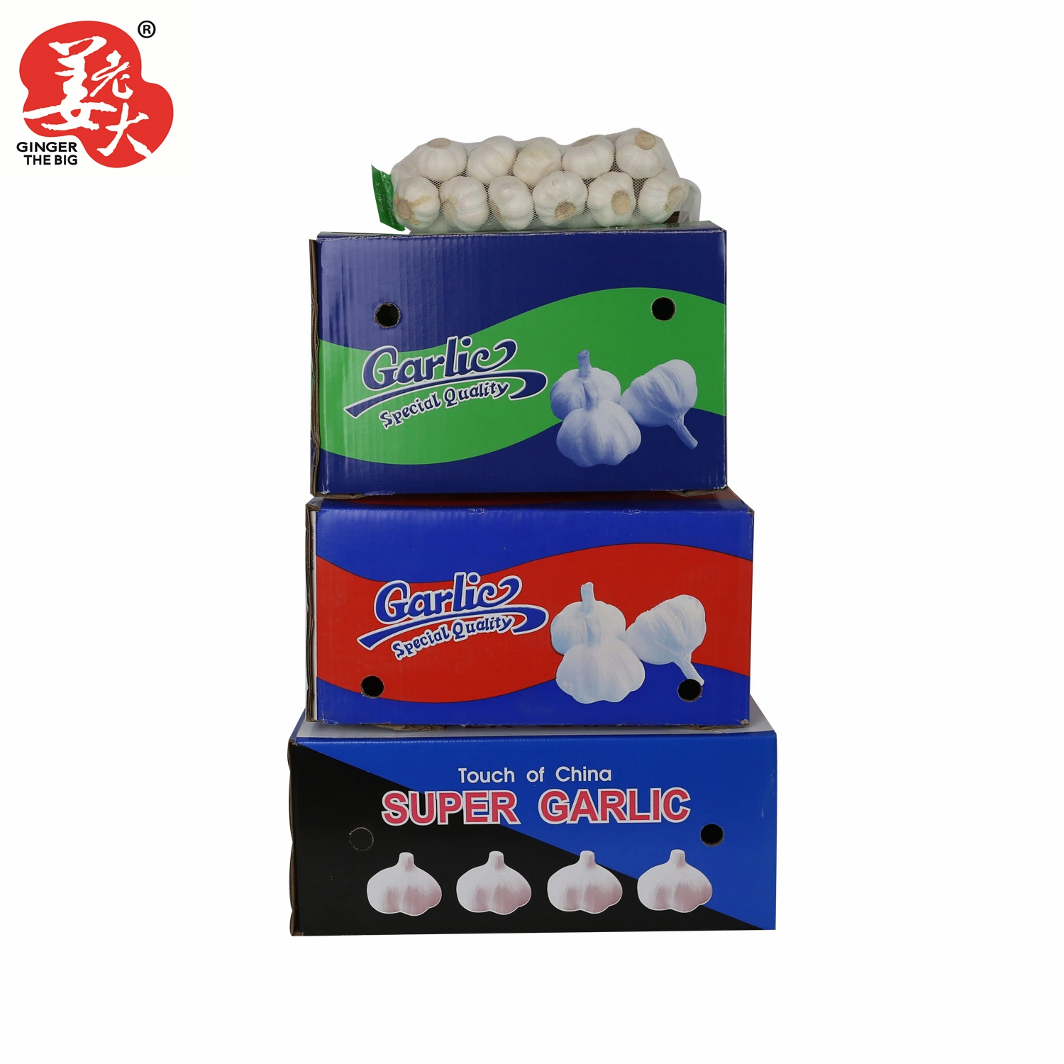 2023 New Crop Chinese Normal White Garlic /Pure White Garlic/Fresh Garlic