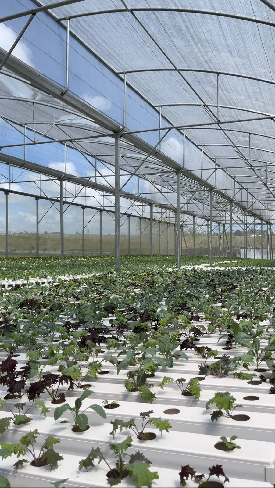 Verzinkter Stahl Truss Rinne Verbunden Hydroponic Growing System Greenhouse Invernadero