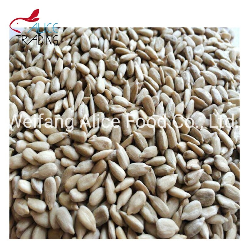 Bulk Price Wholesale/Supplier Chinese Sunflower Seeds Kernels