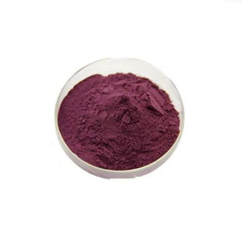 25% Anthocyanin 100% Natural Bilberry Extract Powder Bilberry Extract Powder 4: 1