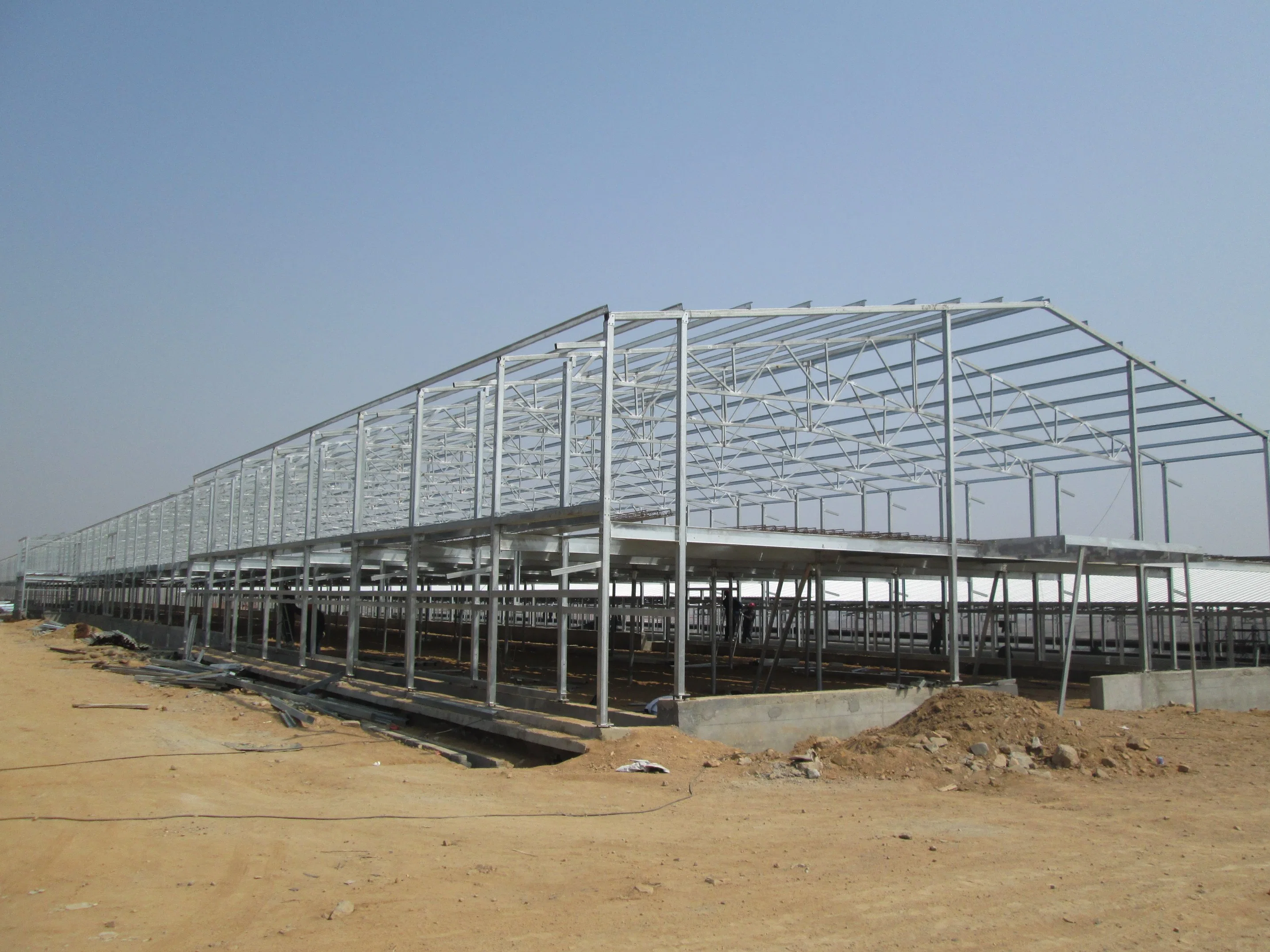 Poultry Farm Double Storey Steel Structure House