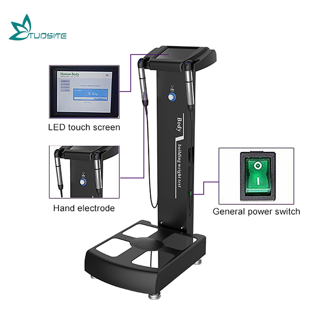 Gym Clinic Use Body Composition Analyzer Diagnosis Health Beauty Salon Equipment