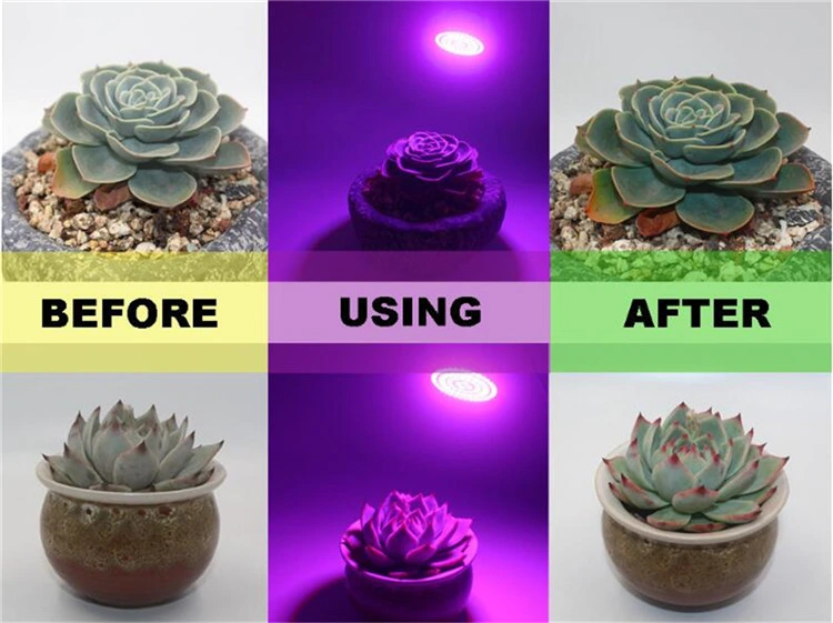 5W 220V/110V Plant Grow Light E27 LED Flower Seedling Lamp