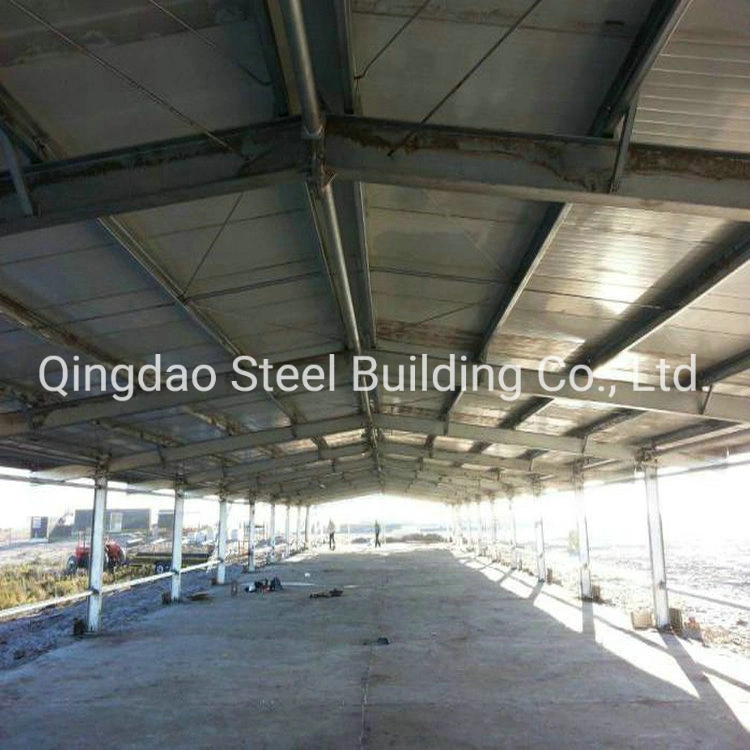 China High quality/High cost performance  Light Steel Structure Chicken Building