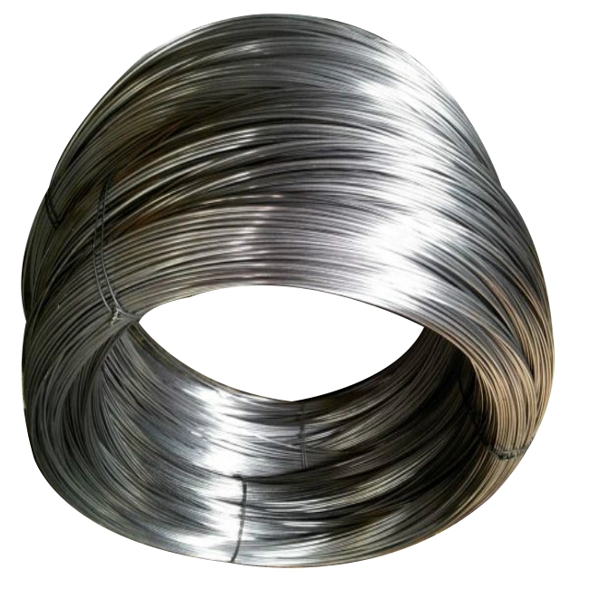 AISI316 AISI 304 6mm/ 7mm/ 8mm/ 9mm/ 10mm Stainless Steel Wire Rope