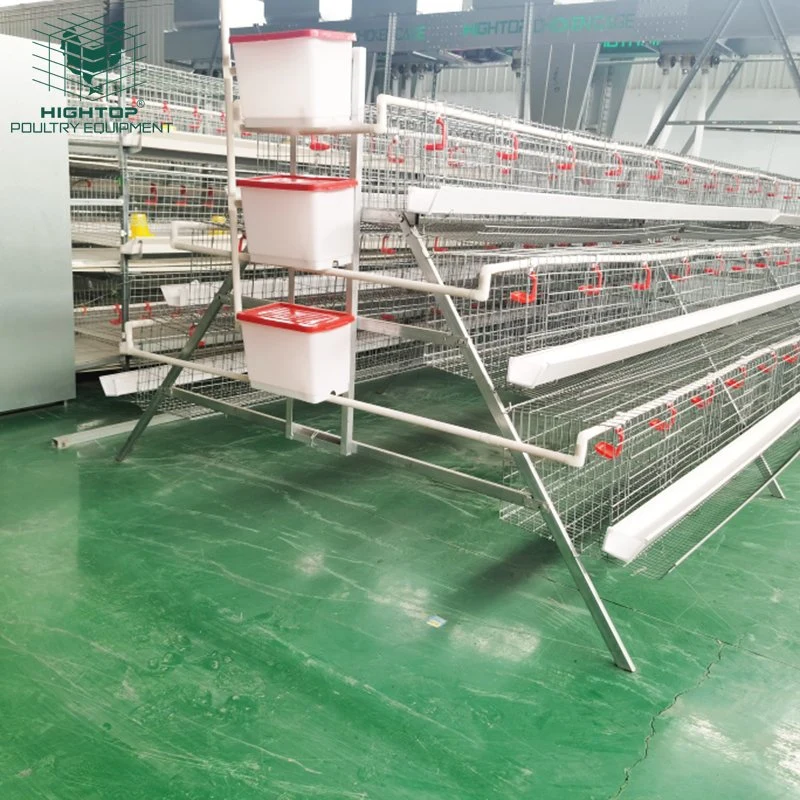 Nivel 3 de galvanizado 2.15 m de largo 5 nidos de aves de corral de la capa de gallina ponedora jaulas con alimentador automático