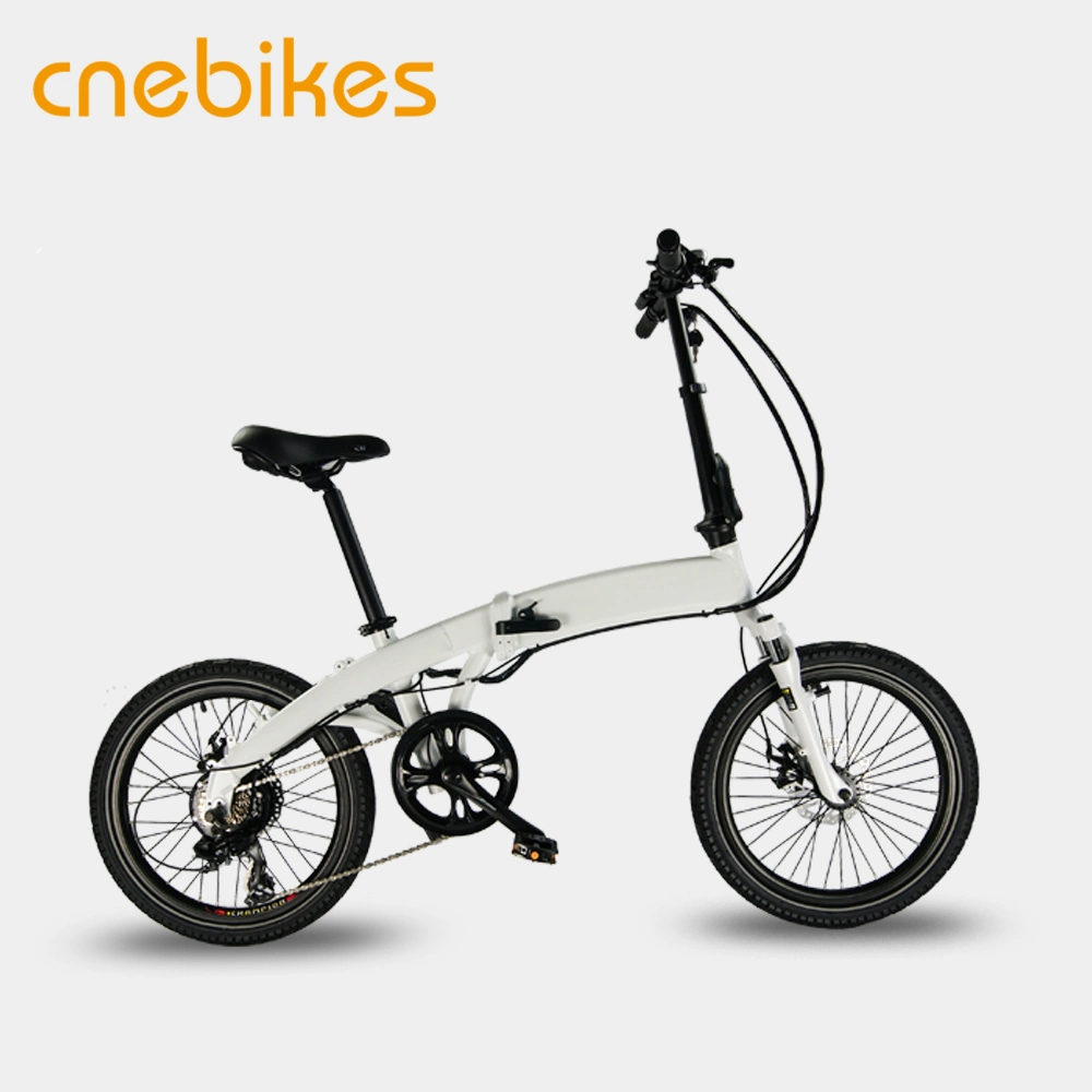 20 Inch 250W Power Mini Electric Folding Bikes