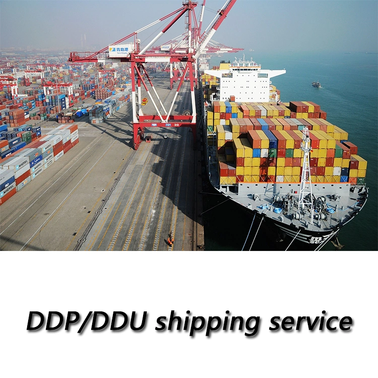 Drop Shipping E-Commerce Ocean Shipping Company to USA