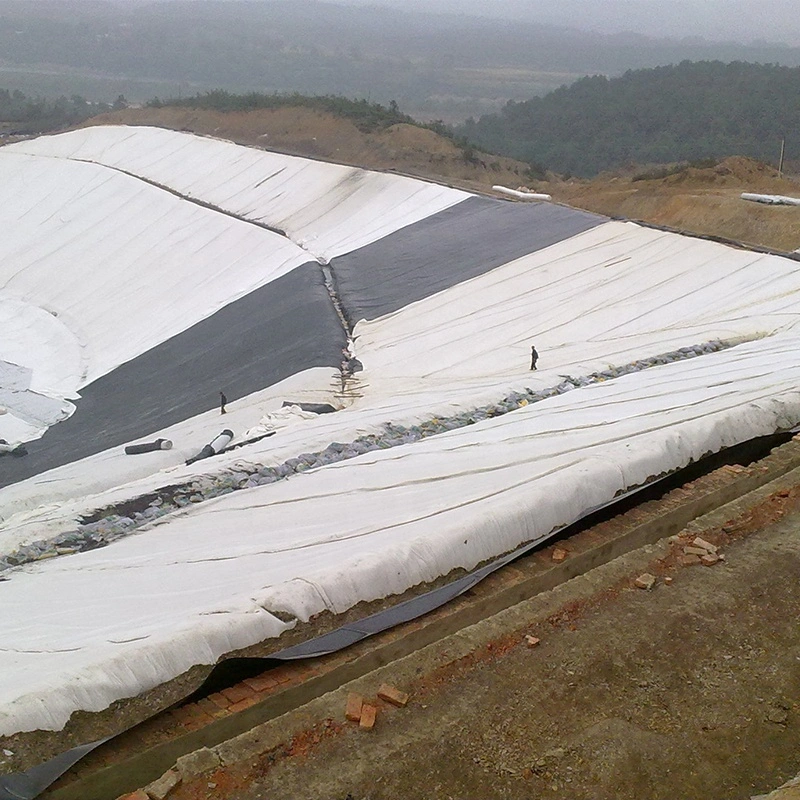 Venta caliente Alto Límite Elástico tejida PP Geotextile Estabilizador de suelos