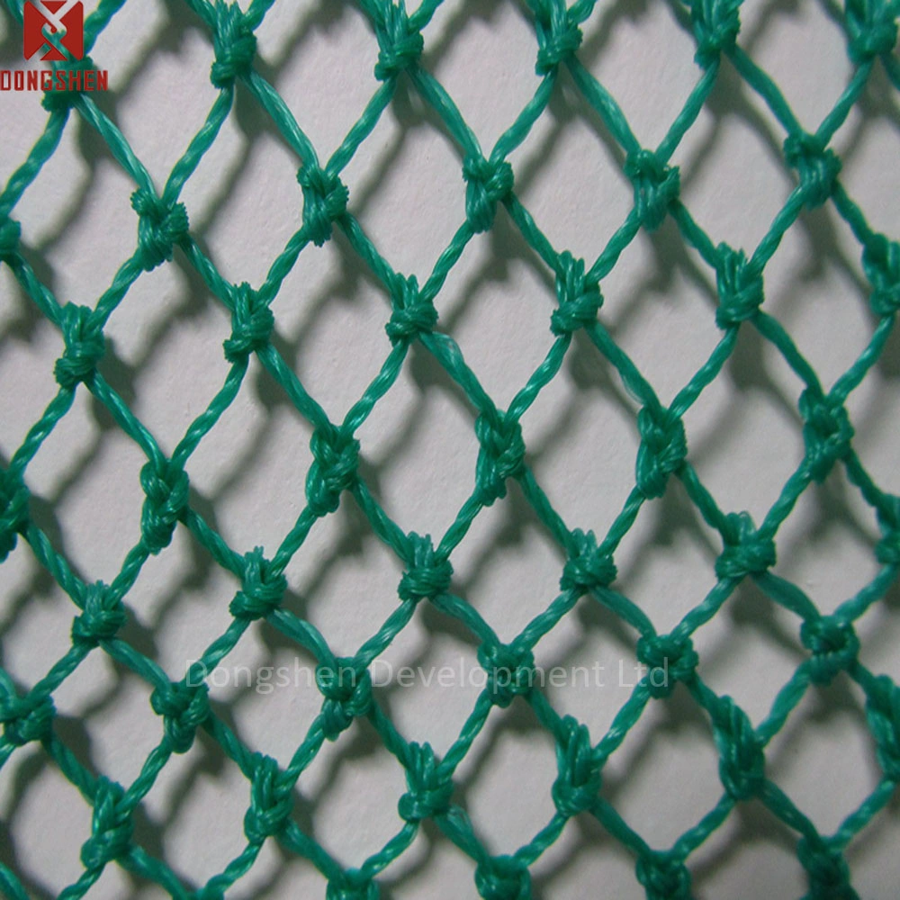 Weinberg Heavy Duty HDPE Monofilament Vogel fangen Fisch Mesh Net