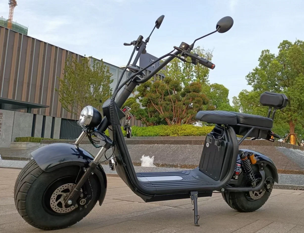 2 Rad EWG CE-Zertifizierung 2000W Erwachsene Smart Elektro-Motorrad Citycoco-Fahrrad