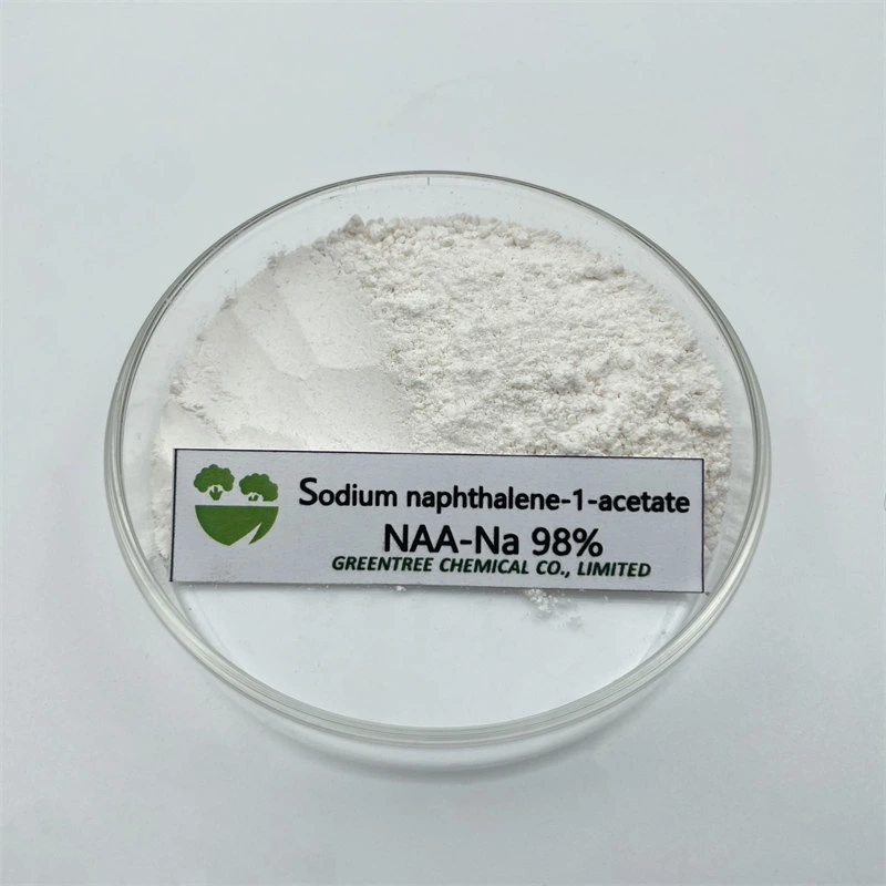 CAS No. 61-31-4 Auxin Alpha Na-Naa Sodium 1-Naphthaleneacetate 98%