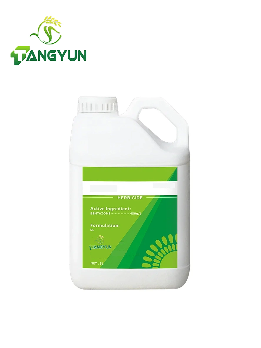 Herbicides Weed Killer Bantazone 480g/L SL Soybean Corn