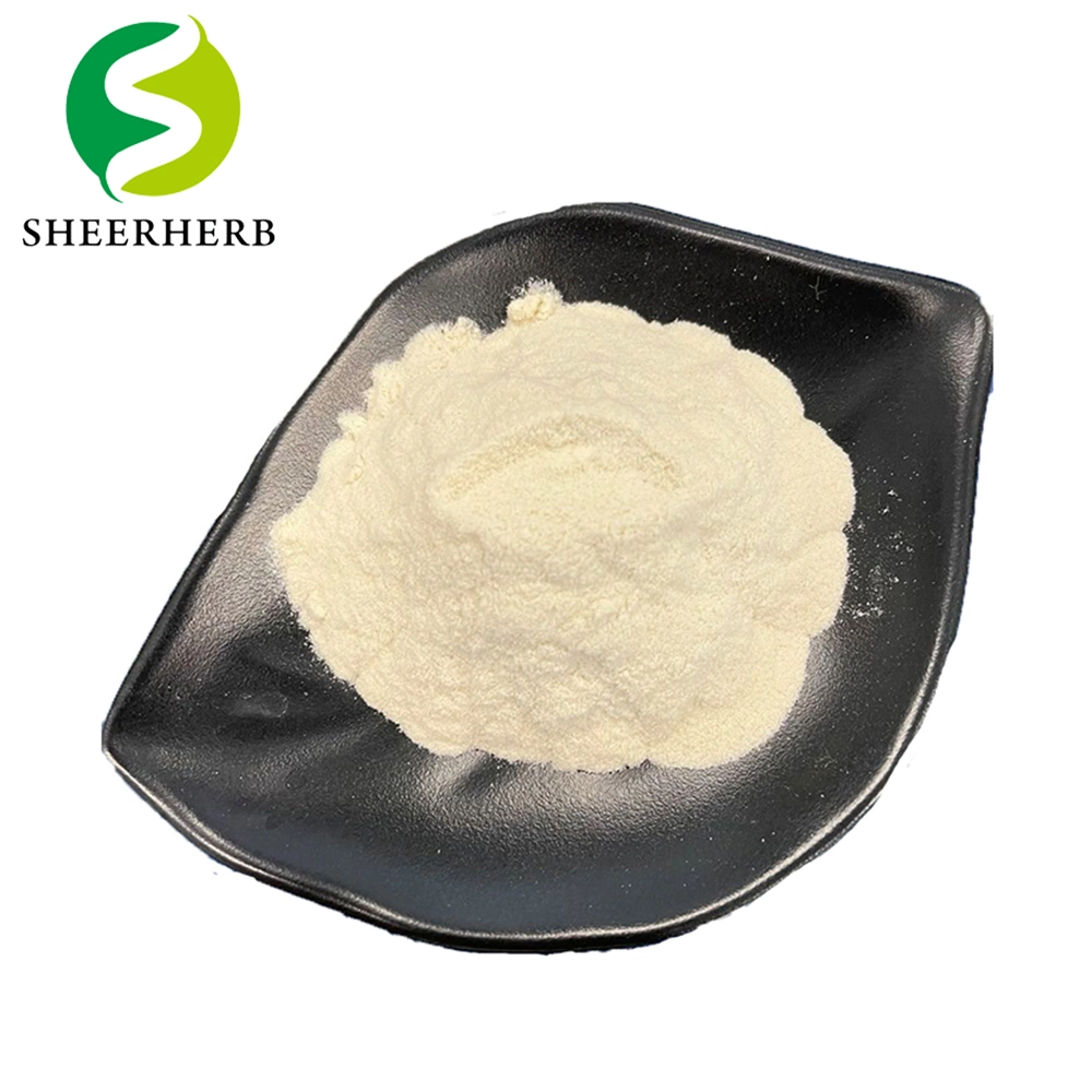 Accept Customization Nattokinase Capsules OEM Nattokinase 5000 Fu-20000 Fu Nattokinase Raw Material Powder