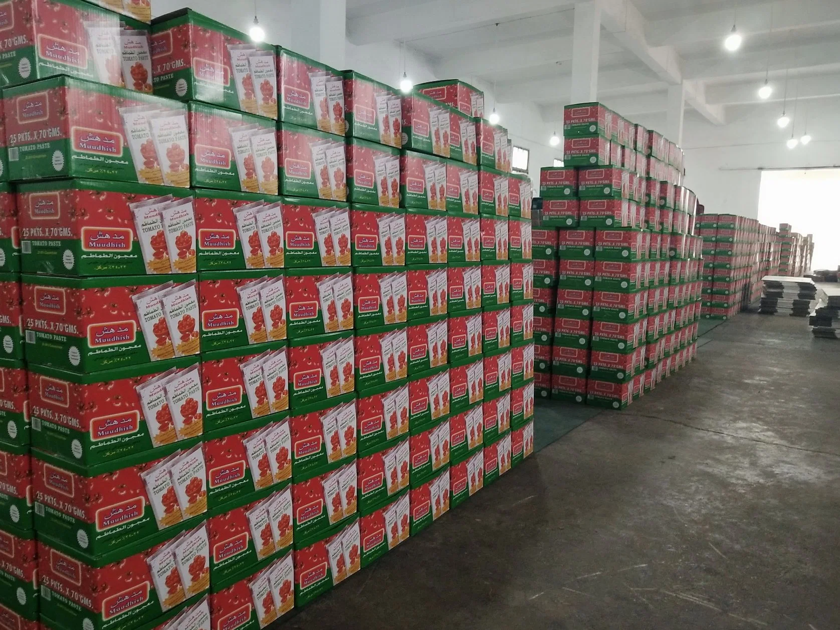 Usine de ketchup fraîches en provenance de Chine