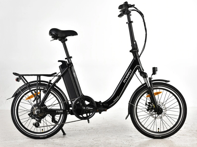 Hub Drive Motor Ebike Electric Folding Bike Convenient Carry