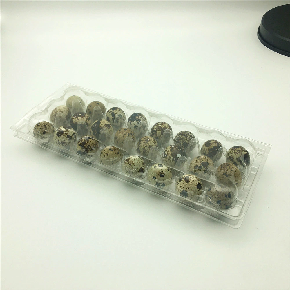 Disposable Plastic Quail Egg Tray Box